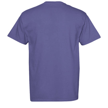 GRAPE - C1717 - BACK